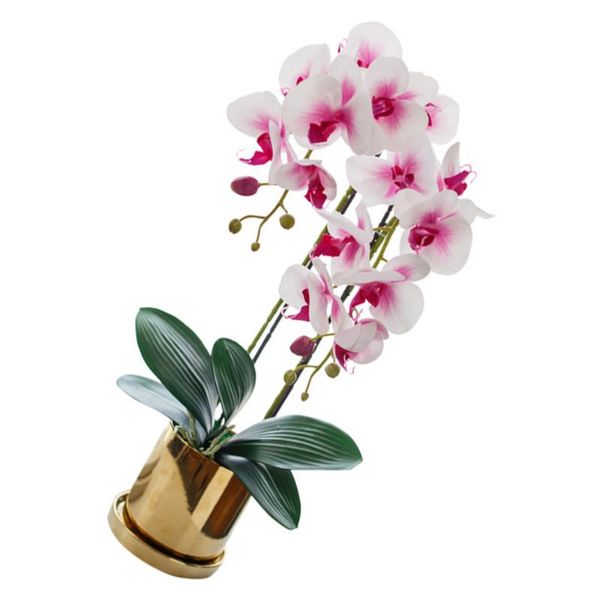 decorative flowers & wreaths artificial simulation phalaenopsis for home wedding decoration
decorative flowers & wreaths artificial simulation phalaenopsis for home wedding decoration