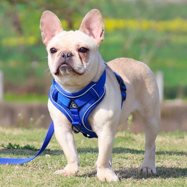 dog collars & leashes pet harness reflective walking safety sandwich mesh safe chest strap leash for puppy
dog collars & leashes pet harness reflective walking safety sandwich mesh safe chest strap leash for puppy