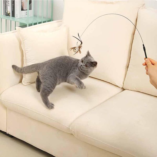 cat toys simulation bird interactive toy funny feather with bell stick for kitten playing teaser wand supplies
cat toys simulation bird interactive toy funny feather with bell stick for kitten playing teaser wand supplies