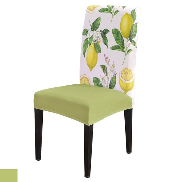 chair covers fruit spandex elastic dining slipcover removable kitchen seat case stretch cover for banquet
chair covers fruit spandex elastic dining slipcover removable kitchen seat case stretch cover for banquet