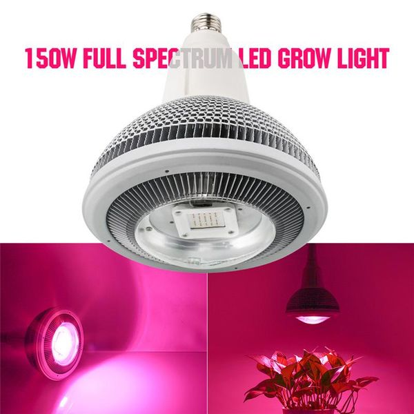 plant growing lamp cob led chip full spectrum e27 grow light for indoor plants greenhouse hydroponics lights
plant growing lamp cob led chip full spectrum e27 grow light for indoor plants greenhouse hydroponics lights