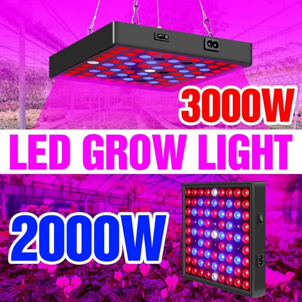uk plant growth light full spectrum led phyto lamp 220v hydroponic bulb 2000w 3000w fitolampy greenhouse growing lighting grow lights
uk plant growth light full spectrum led phyto lamp 220v hydroponic bulb 2000w 3000w fitolampy greenhouse growing lighting grow lights