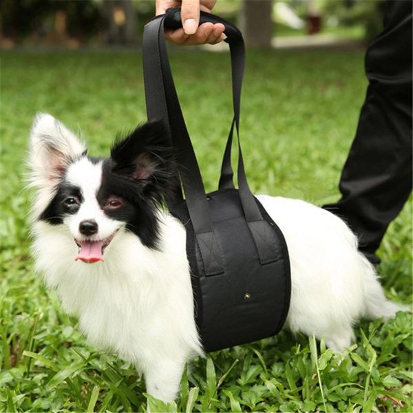 dog collars & leashes portable elderly disabled pet auxiliary belt lift support go upstairs pets rehabilitation harness assist sling
dog collars & leashes portable elderly disabled pet auxiliary belt lift support go upstairs pets rehabilitation harness assist sling