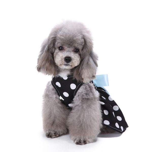 the dog clothes pet cute three dimensional leisure bear bipedal spring and summer dog clothes
the dog clothes pet cute three dimensional leisure bear bipedal spring and summer dog clothes