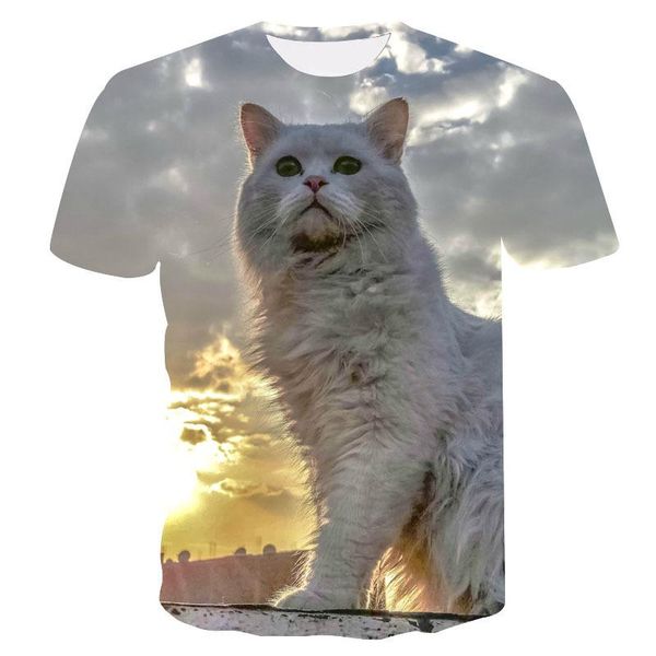 women's 3d printing spring and autumn cat hip-hop harajuku t-shirt sweat-absorbent cute animal, White
women's 3d printing spring and autumn cat hip-hop harajuku t-shirt sweat-absorbent cute animal, White
