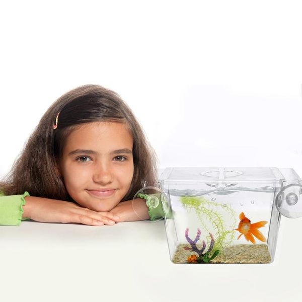 aquariums acrylic transparent fish tank breeding isolation box aquarium incubator hatching boxes multifunctional holder
aquariums acrylic transparent fish tank breeding isolation box aquarium incubator hatching boxes multifunctional holder