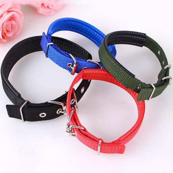 dog collars & leashes collar foam soft adjustable nylon strap pet cat for small medium large dogs teddy golden retriever basic
dog collars & leashes collar foam soft adjustable nylon strap pet cat for small medium large dogs teddy golden retriever basic