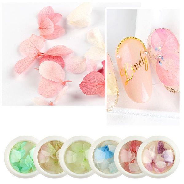 decorative flowers & wreaths pressed dried box hydrangea flower mixed colorful plant diy nail art 3d decoration scrapbooking epoxy resin fil
decorative flowers & wreaths pressed dried box hydrangea flower mixed colorful plant diy nail art 3d decoration scrapbooking epoxy resin fil
