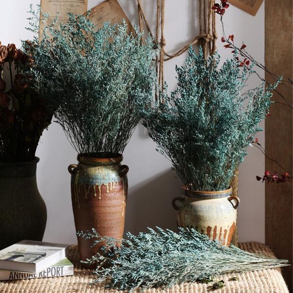decorative flowers & wreaths natural dried preserved dancing floral plants bouquets for home wedding decoration christmas pography props
decorative flowers & wreaths natural dried preserved dancing floral plants bouquets for home wedding decoration christmas pography props