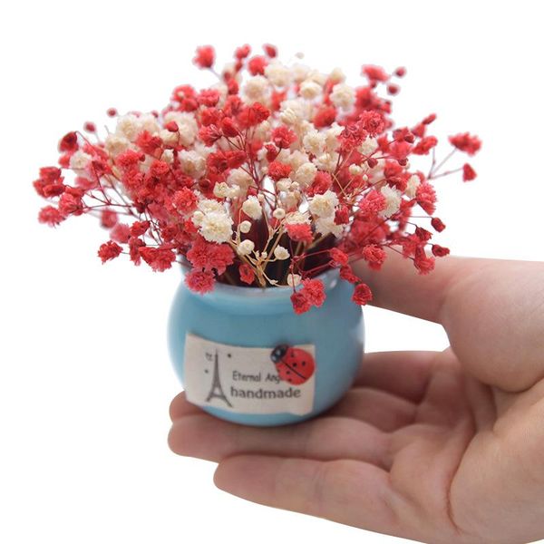 dried flowers mini home small vase car potted plant gift with souvenir eternal flower gypsophila for living room decoration decorative objec
dried flowers mini home small vase car potted plant gift with souvenir eternal flower gypsophila for living room decoration decorative objec