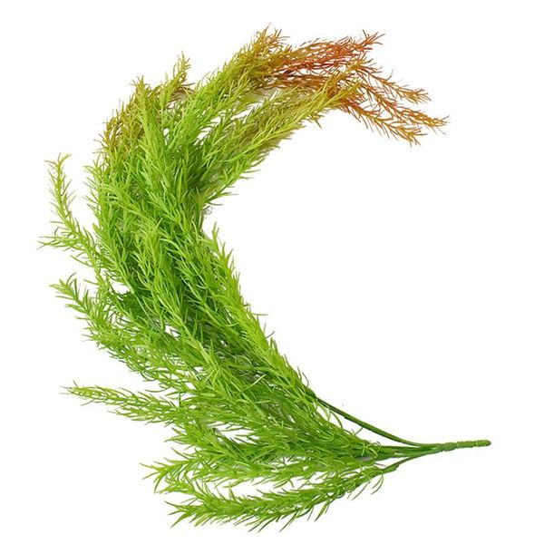 decorative flowers & wreaths artificial hanging ivy leaves plants simulation garland door decoration ring small thorn leaf wreath
decorative flowers & wreaths artificial hanging ivy leaves plants simulation garland door decoration ring small thorn leaf wreath