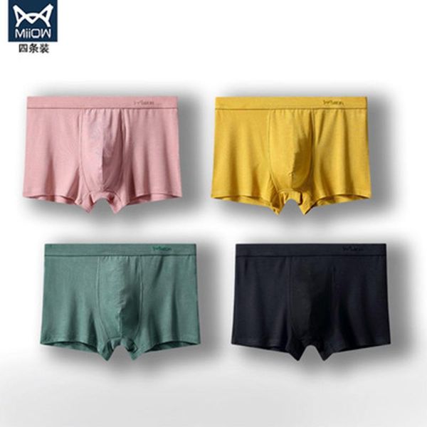 underpants miiow brand customized belt logo solid cotton comfortable men's underwear l xl xxl xxxl boxer, Black;white
underpants miiow brand customized belt logo solid cotton comfortable men's underwear l xl xxl xxxl boxer, Black;white