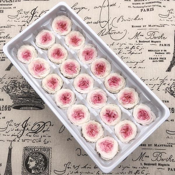 decorative flowers & wreaths 21pcs/box preserved fresh flower austin rose immortal real in box party decorations wedding home decor class a
decorative flowers & wreaths 21pcs/box preserved fresh flower austin rose immortal real in box party decorations wedding home decor class a