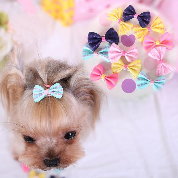 dog apparel 10pcs bowknot cute hair grooming clip handmade pet accessories mixed ribbon bow color random for yorkshire cat
dog apparel 10pcs bowknot cute hair grooming clip handmade pet accessories mixed ribbon bow color random for yorkshire cat