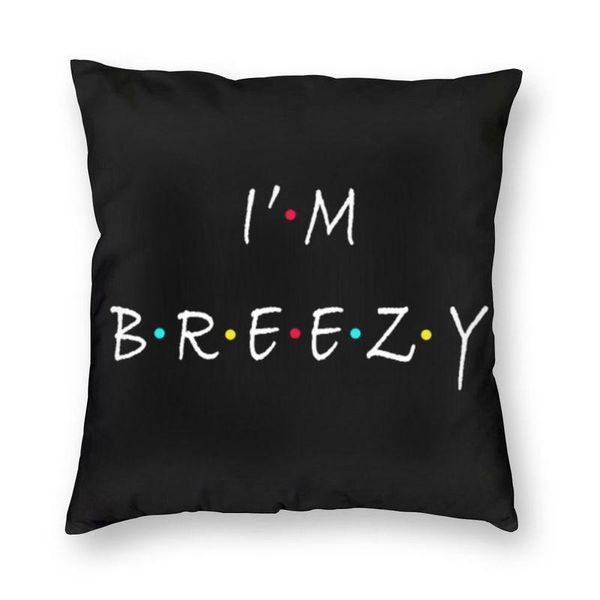 cushion/decorative pillow soft friends funny quote throw cover home decor custom square i'm breezy cushion 40x40 pillowcover for living
cushion/decorative pillow soft friends funny quote throw cover home decor custom square i'm breezy cushion 40x40 pillowcover for living