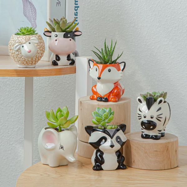planters & pots cartoon animal miniature model decoration succulent flower pot creative home gardening plants potted ceramic flowerpots orna
planters & pots cartoon animal miniature model decoration succulent flower pot creative home gardening plants potted ceramic flowerpots orna