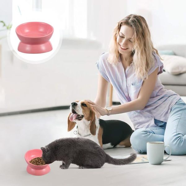 cat bowls & feeders ceramic elevated neck protection bowl dogs tilted pet feeder (random color)
cat bowls & feeders ceramic elevated neck protection bowl dogs tilted pet feeder (random color)