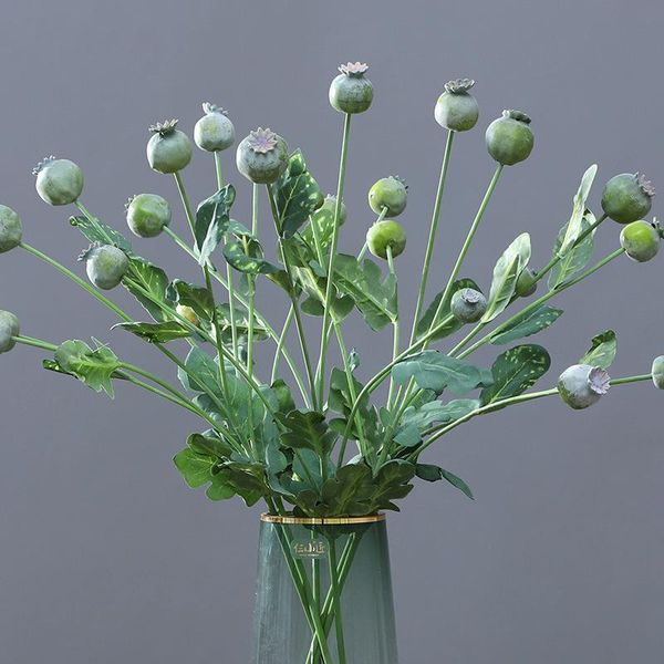 decorative flowers & wreaths simulation flower poppy fruits artificial po props home wedding decorations el party fake plant
decorative flowers & wreaths simulation flower poppy fruits artificial po props home wedding decorations el party fake plant