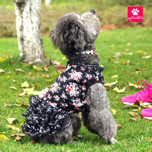 the dog clothes pet clothing spring and summer chihuahua bomei bear teddy skirt dog dress
the dog clothes pet clothing spring and summer chihuahua bomei bear teddy skirt dog dress