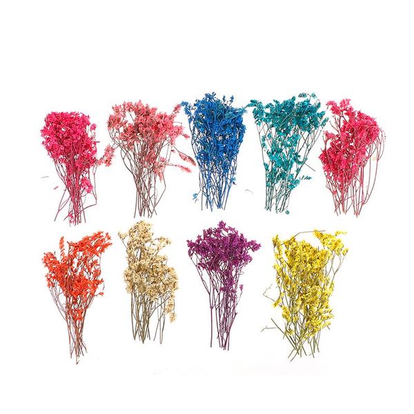 micro landscape accessories natural dried flowers gypsophila garden home decoration wall diy flower material decorative & wreaths
micro landscape accessories natural dried flowers gypsophila garden home decoration wall diy flower material decorative & wreaths