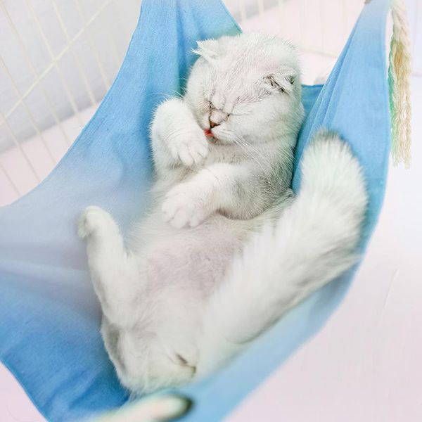 cat beds & furniture swing bed cage hanging house cats toy basket tapestry pet hammock
cat beds & furniture swing bed cage hanging house cats toy basket tapestry pet hammock