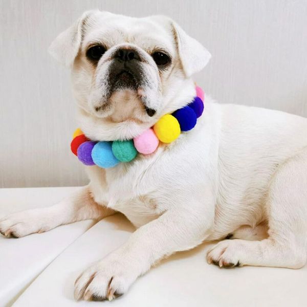 dog cat necklace dogs pets accessories for small big large rainbow ball collar scarf adjustable pet collars & leashes
dog cat necklace dogs pets accessories for small big large rainbow ball collar scarf adjustable pet collars & leashes