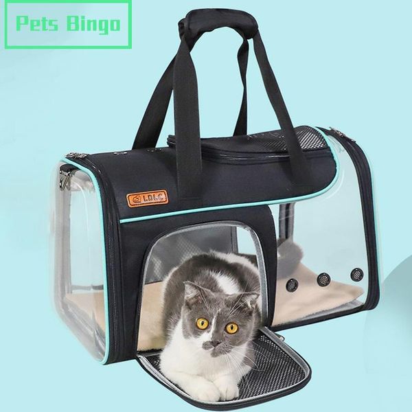 dog car seat covers pets bingo folding cat bag portable ldlc transparent packbag breathable backpack travel carrier handbag for 7kg pet supp
dog car seat covers pets bingo folding cat bag portable ldlc transparent packbag breathable backpack travel carrier handbag for 7kg pet supp