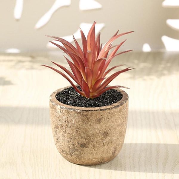 decorative flowers & wreaths 4pcs/set simulation succulent plants artificial potted plant with pot indoor ornaments decoration
decorative flowers & wreaths 4pcs/set simulation succulent plants artificial potted plant with pot indoor ornaments decoration