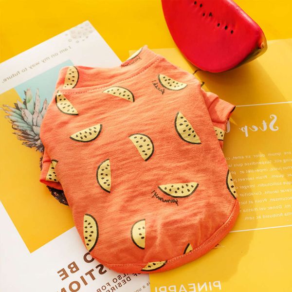 little dog clothes summer thin teddy bear bomecokee puppy small pet cat spring
little dog clothes summer thin teddy bear bomecokee puppy small pet cat spring