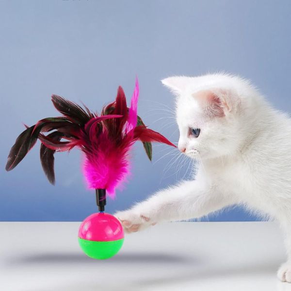 cat toys feather tumbler toy interactive puzzle funny automatic random colors for pet supplies
cat toys feather tumbler toy interactive puzzle funny automatic random colors for pet supplies