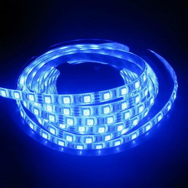 strip fiexible light 60led/m,5m 300led,dc 12v,white/warm white/red/green,blue/ rgb color led strips
strip fiexible light 60led/m,5m 300led,dc 12v,white/warm white/red/green,blue/ rgb color led strips