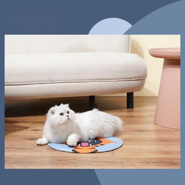 cat beds & furniture mat a cushion round warm for animals rug sand litter box toilet the tray carpet cats blankets
cat beds & furniture mat a cushion round warm for animals rug sand litter box toilet the tray carpet cats blankets