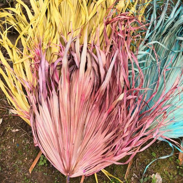 decorative flowers & wreaths 1pc dyed fan leaf dried natural plant leaves for diy wedding floral po props flower arrangement supplies
decorative flowers & wreaths 1pc dyed fan leaf dried natural plant leaves for diy wedding floral po props flower arrangement supplies