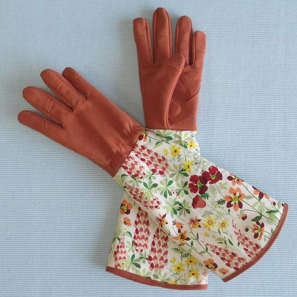 disposable gloves long gardening plant pruning thorn proof garden with forearm protection gauntlets r4t1
disposable gloves long gardening plant pruning thorn proof garden with forearm protection gauntlets r4t1