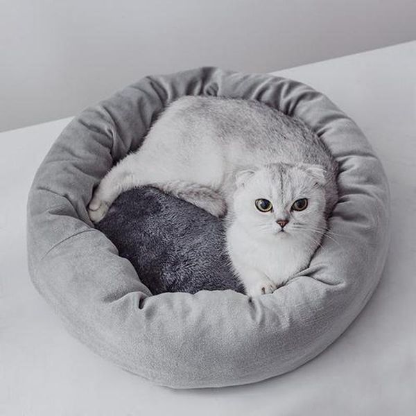 cat beds & furniture super soft plush warm kitty mat cute kennel sleeping basket bed with pillow round fluffy comfortable touch pet products
cat beds & furniture super soft plush warm kitty mat cute kennel sleeping basket bed with pillow round fluffy comfortable touch pet products