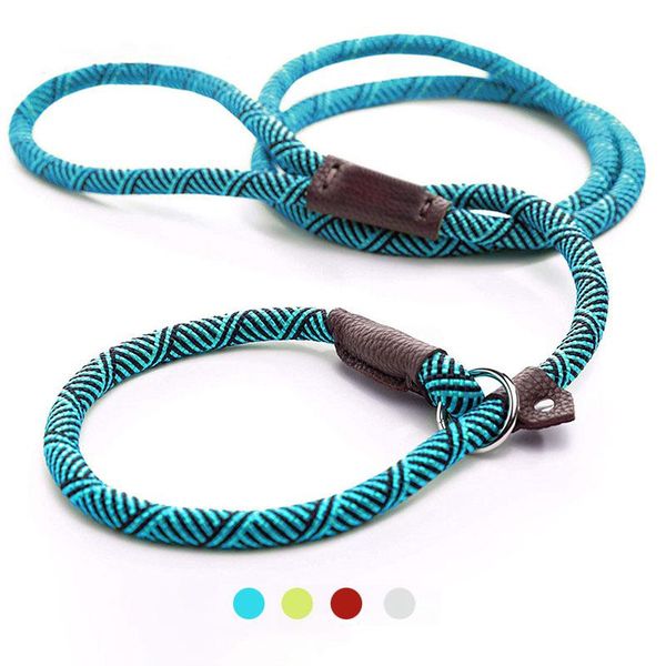 dog collars & leashes pet harness leash durable slip rope collar 2 in 1 adjustable loop comfortable small meidum large wholesale
dog collars & leashes pet harness leash durable slip rope collar 2 in 1 adjustable loop comfortable small meidum large wholesale