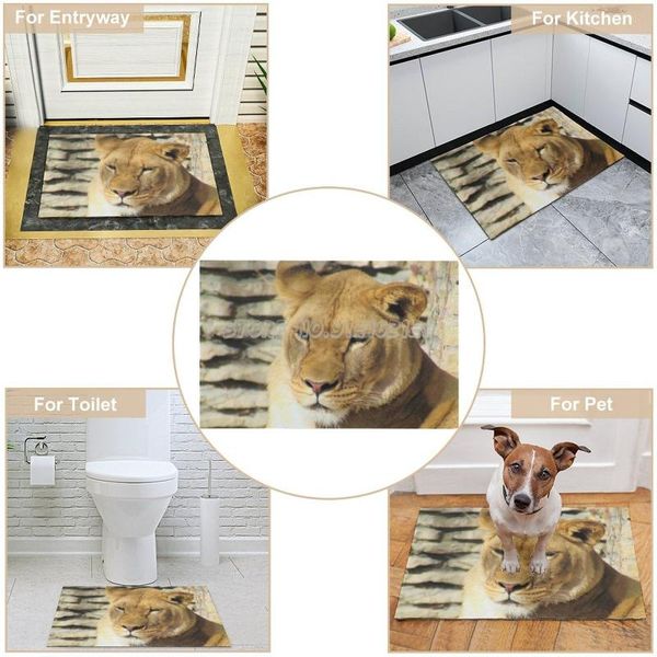 carpets lioness doormat home entrance rug floor mats for bathroom living room majestic lion king of the jungle prid
carpets lioness doormat home entrance rug floor mats for bathroom living room majestic lion king of the jungle prid