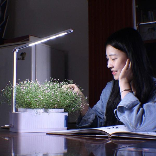 lazy planting hydroponics 220 volt led plant growth light bulb physics lamp indoor water garden grow lights
lazy planting hydroponics 220 volt led plant growth light bulb physics lamp indoor water garden grow lights