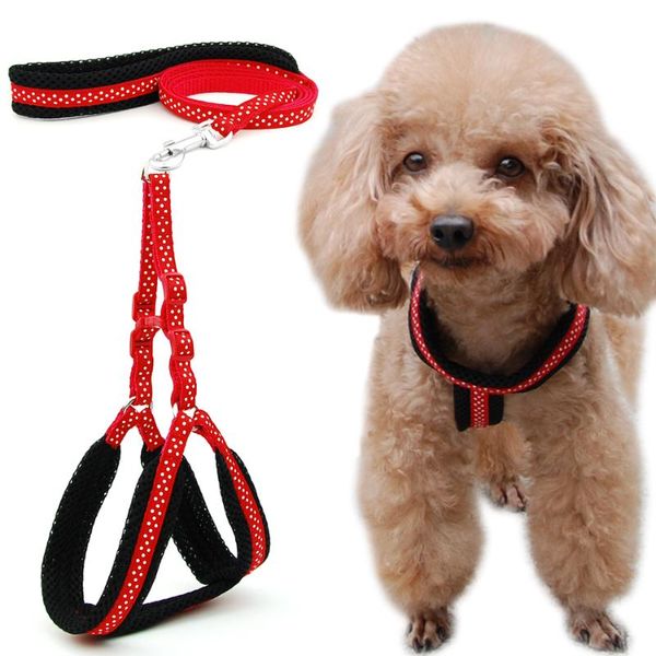 dog collars & leashes cat harness vest polka dot breathable mesh pet products dogs leash adjustable collar puppy small outdoor walking
dog collars & leashes cat harness vest polka dot breathable mesh pet products dogs leash adjustable collar puppy small outdoor walking
