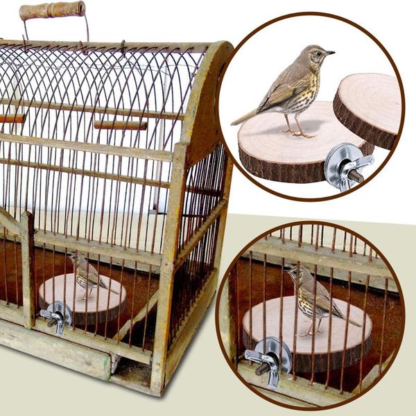 small animal supplies and medium-sized parrot hummingbird hamster squirrel standing platform
small animal supplies and medium-sized parrot hummingbird hamster squirrel standing platform