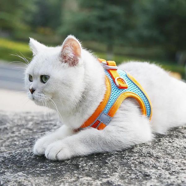 dog collars & leashes pet accessories breathable reflective mesh harness and pomeranian traction vest cat for small dogs
dog collars & leashes pet accessories breathable reflective mesh harness and pomeranian traction vest cat for small dogs