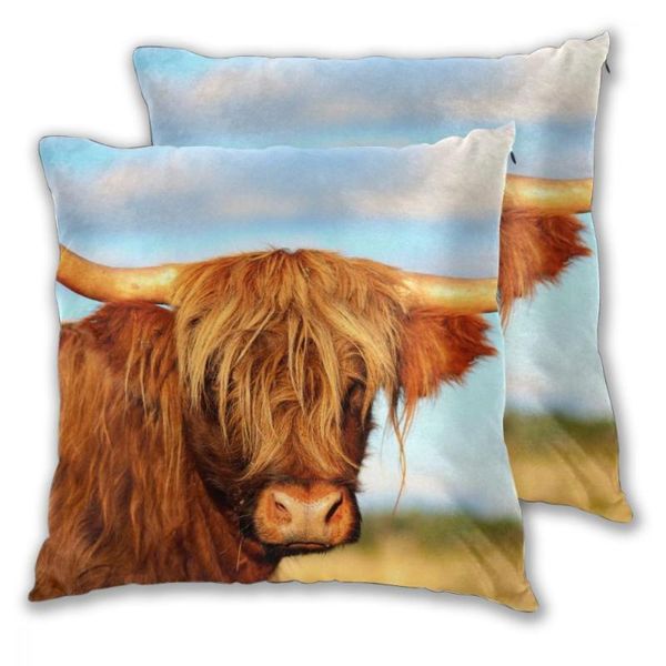 pillow case decorative pillowcase scottish highland cow in field throw square polyester cover for home office
pillow case decorative pillowcase scottish highland cow in field throw square polyester cover for home office