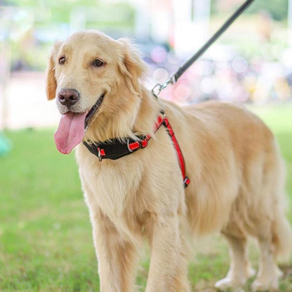 dog collars & leashes red adjustable cat traction rope chest strap walking leash harness pet supplies teddy's anti-bite for the
dog collars & leashes red adjustable cat traction rope chest strap walking leash harness pet supplies teddy's anti-bite for the