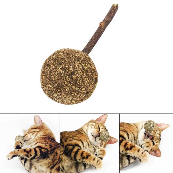 funny cat chewing stick catnip ball lollipop kitten pet teeth cleaning playing toys for cats-
funny cat chewing stick catnip ball lollipop kitten pet teeth cleaning playing toys for cats-