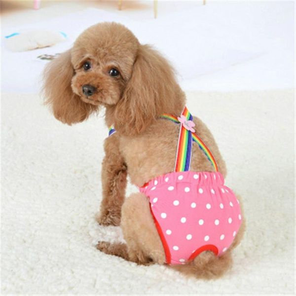 dog apparel pet strap physiological pants cute cat panty menstruation for female teddy underwear supplies
dog apparel pet strap physiological pants cute cat panty menstruation for female teddy underwear supplies