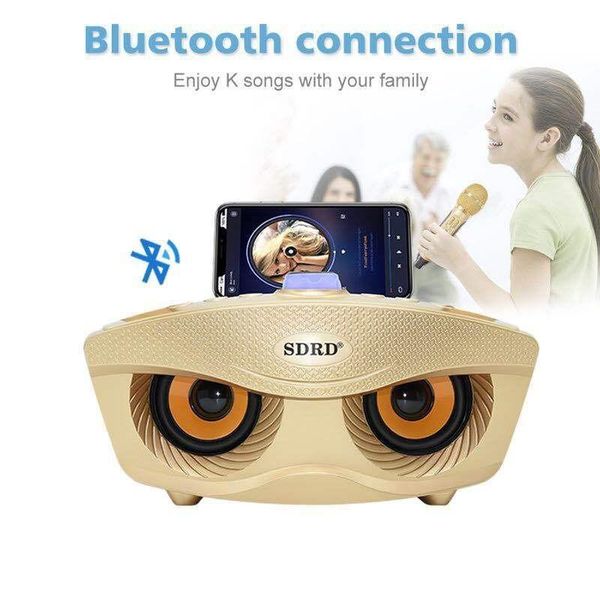 dual bluetooth speaker with 2 wireless microphones family ktv stereo mic big sound karaoke set
dual bluetooth speaker with 2 wireless microphones family ktv stereo mic big sound karaoke set