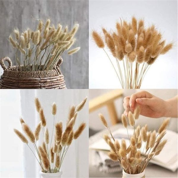 decorative flowers & wreaths 20pcs dekoration natural dried tails bouquet tail grass floral bunches wedding decoration pampas h
decorative flowers & wreaths 20pcs dekoration natural dried tails bouquet tail grass floral bunches wedding decoration pampas h