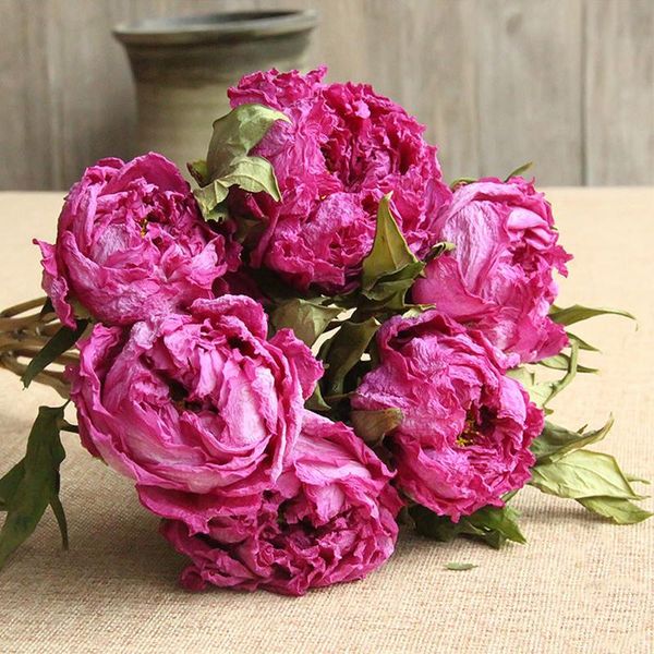 decorative flowers & wreaths peony dried rose red diy hand-dried scented candles materials home living room garden decoration fhj889
decorative flowers & wreaths peony dried rose red diy hand-dried scented candles materials home living room garden decoration fhj889