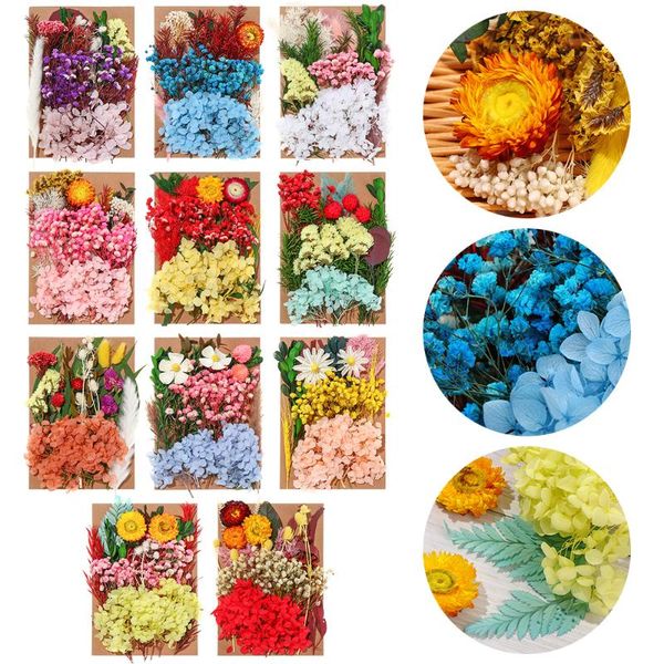 decorative flowers & wreaths dry flower candle manual plant real dried natural plants pressed painting diy art crafts wedding s
decorative flowers & wreaths dry flower candle manual plant real dried natural plants pressed painting diy art crafts wedding s