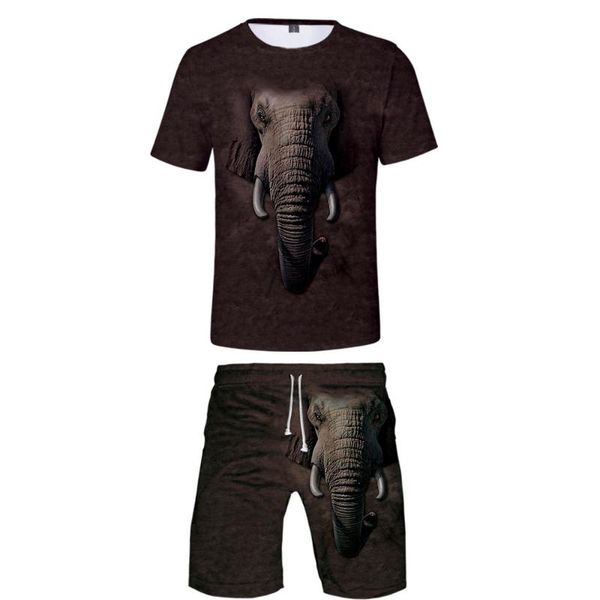 men's tracksuits 3d animal t-shirt + beach shorts male / female hip hop summer casual elephant print boy girl two-piece fashion cool, Gray
men's tracksuits 3d animal t-shirt + beach shorts male / female hip hop summer casual elephant print boy girl two-piece fashion cool, Gray